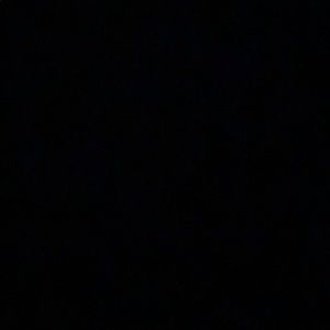 Meet your Posher, Griffin